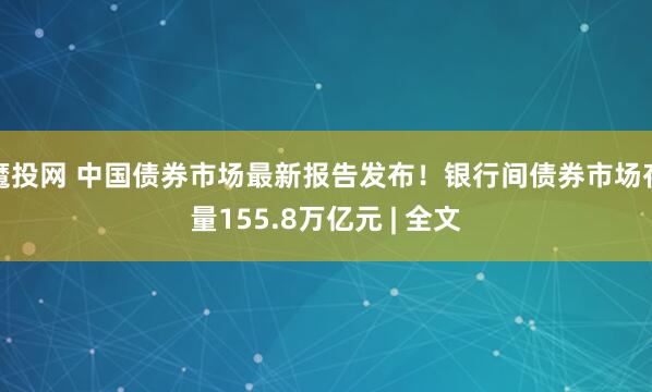 魔投网 中国债券市场最新报告发布！银行间债券市场存量155.8万亿元 | 全文