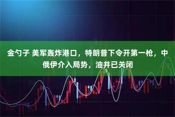 金勺子 美军轰炸港口，特朗普下令开第一枪，中俄伊介入局势，油井已关闭